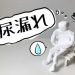 骨盤の歪みと尿漏れの関係を示す図解