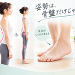 姿勢と骨盤、足元の関係を示した女性の姿勢イラスト