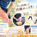 涼しくなって運動を再開する時期の肉離れ予防と太ももの痛み、施術例を紹介するイメージ画像