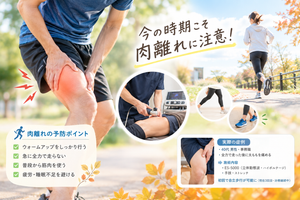 涼しくなって運動を再開する時期の肉離れ予防と太ももの痛み、施術例を紹介するイメージ画像